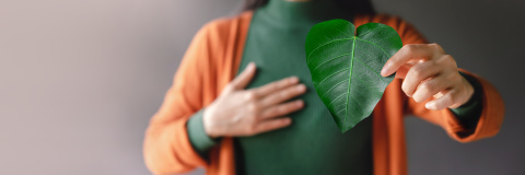 KVNachhaltig, Header